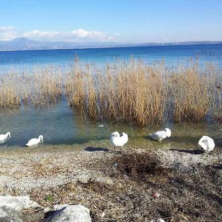 Debora Maison B&B Colombare Di Sirmione Ngoại thất bức ảnh