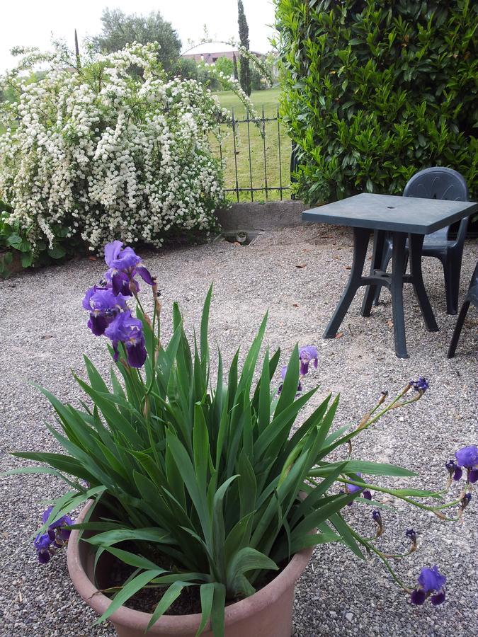 Debora Maison B&B Colombare Di Sirmione Ngoại thất bức ảnh