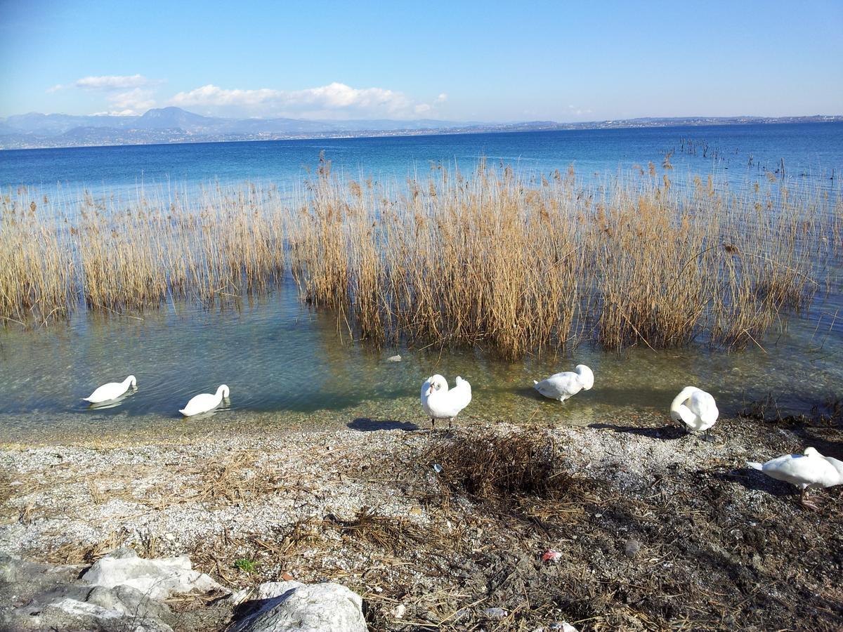 Debora Maison B&B Colombare Di Sirmione Ngoại thất bức ảnh