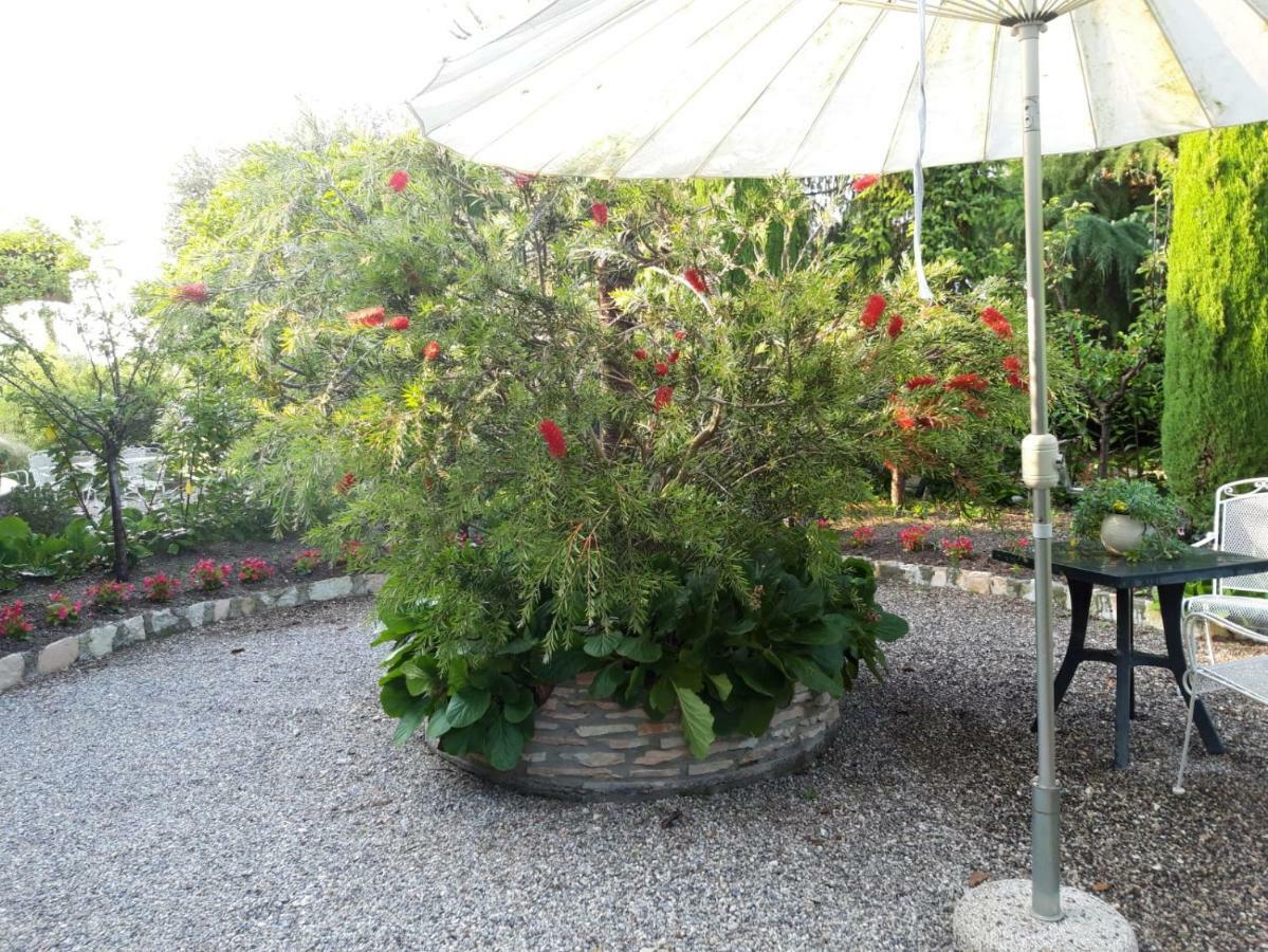 Debora Maison B&B Colombare Di Sirmione Ngoại thất bức ảnh